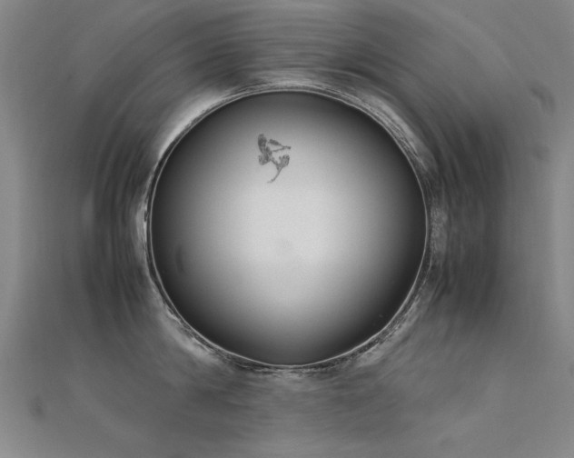 X0000112400814200908141338