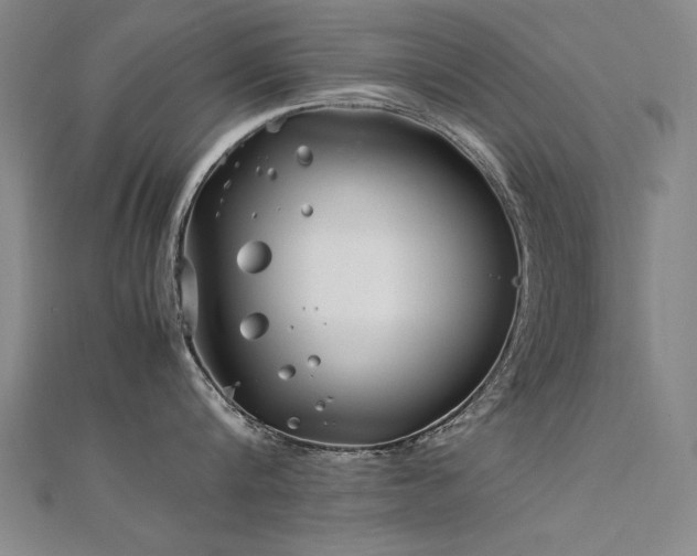 X0000112400816200908141338