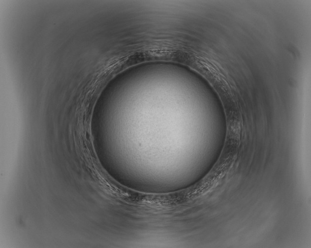 X0000112400817200908141337