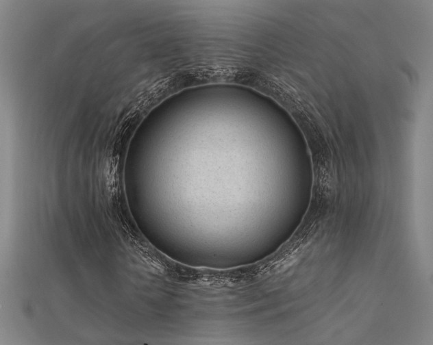 X0000112400818200908141337
