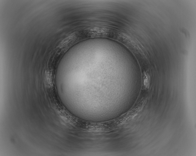 X0000112400819200908141337