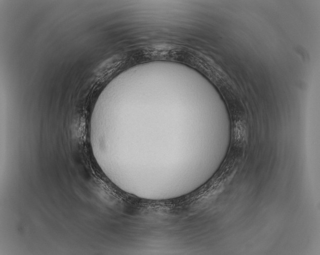 X0000112400820200908141337