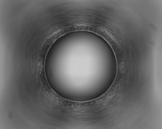 X0000112400821200908141337