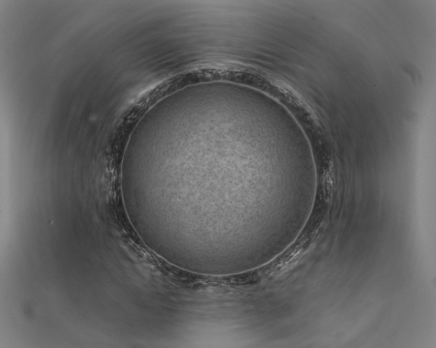 X0000112400822200908141337