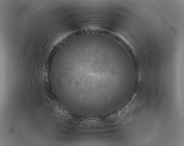 X0000112400823200908141337