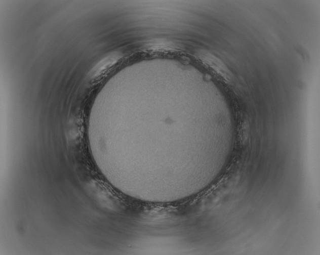 X0000112400824200908141337