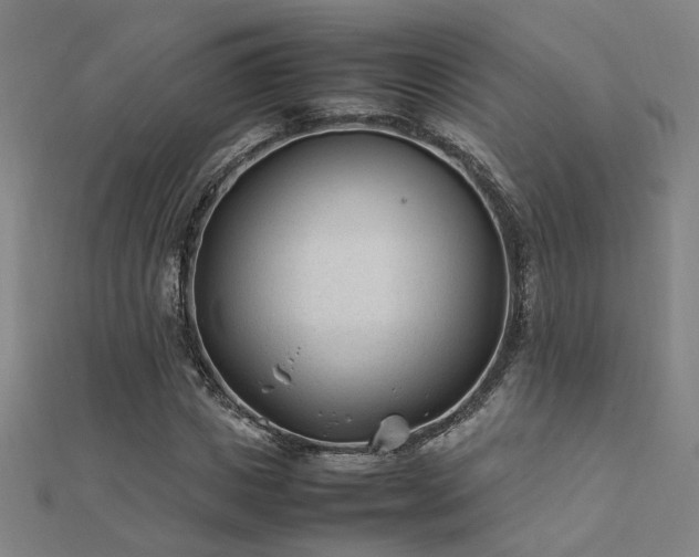 X0000112400825200908141337