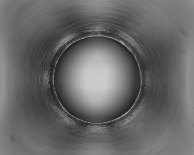 X0000112400826200908141337