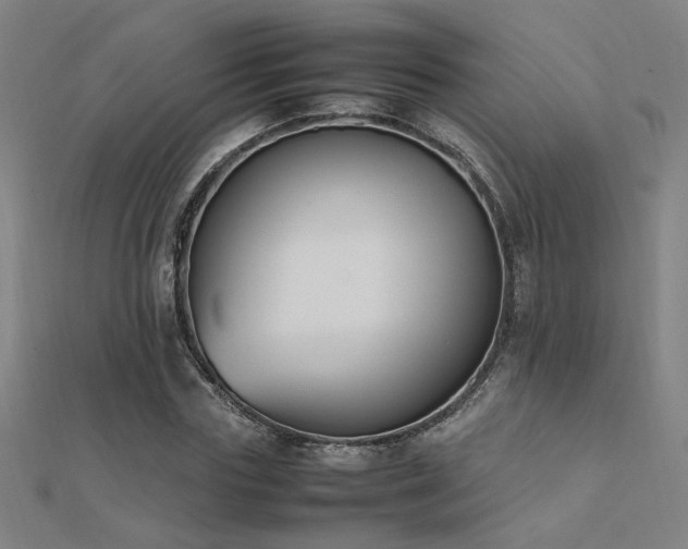 X0000112400827200908141337