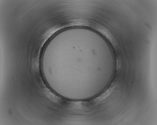 X0000112400828200908141337
