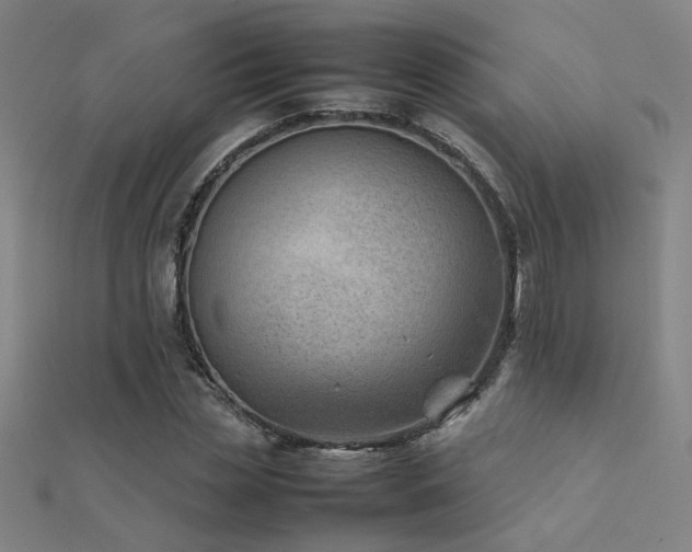 X0000112400829200908141337