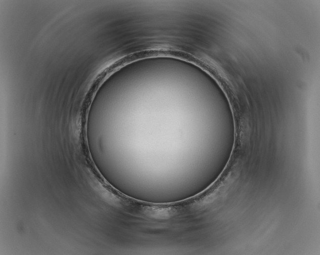 X0000112400831200908141337