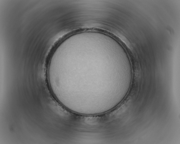 X0000112400832200908141337