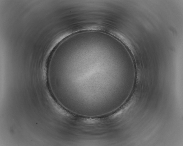 X0000112400835200908141337