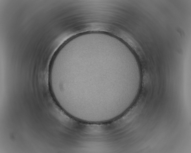 X0000112400836200908141337