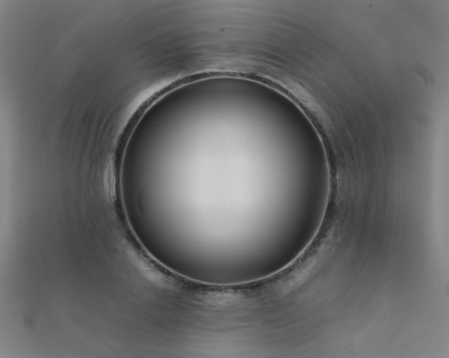 X0000112400838200908141337