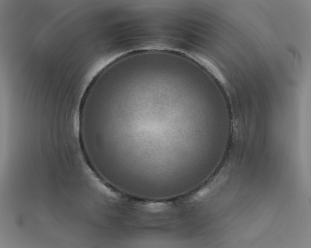 X0000112400839200908141337