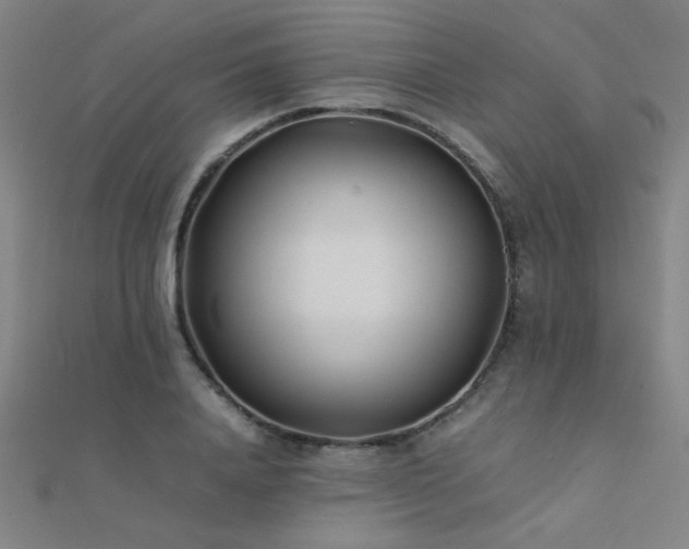 X0000112400840200908141337