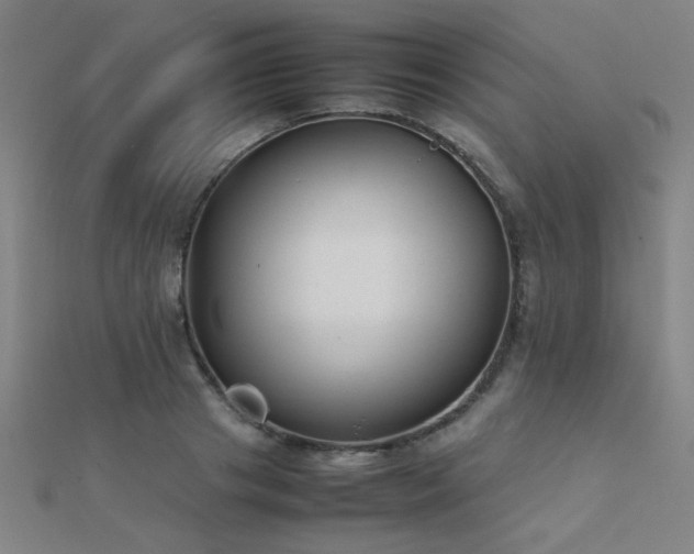 X0000112400841200908141337