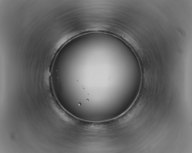 X0000112400842200908141337