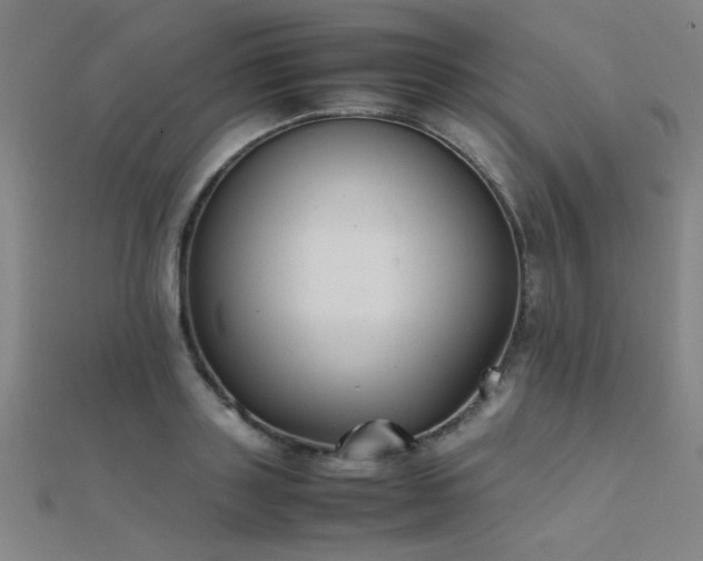 X0000112400843200908141337