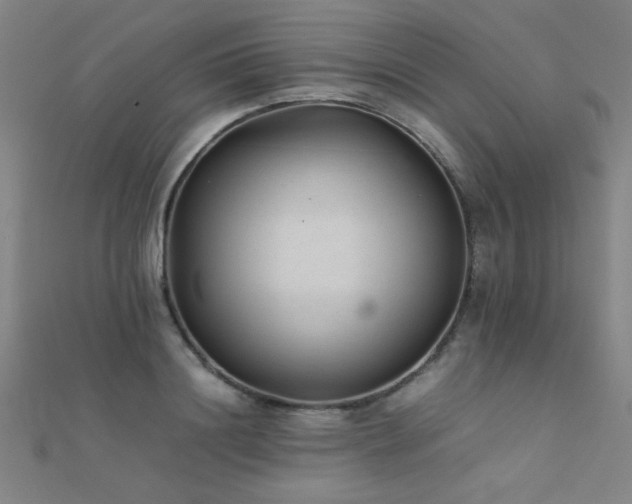 X0000112400844200908141337