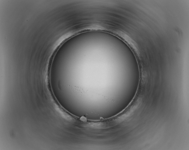 X0000112400845200908141337