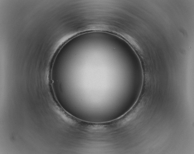 X0000112400846200908141337
