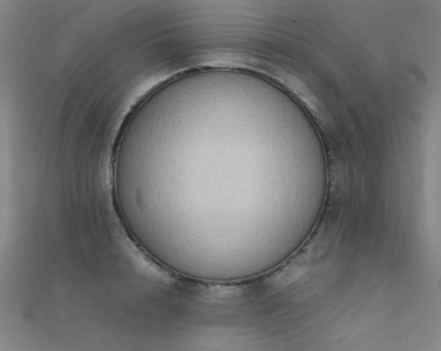 X0000112400848200908141337