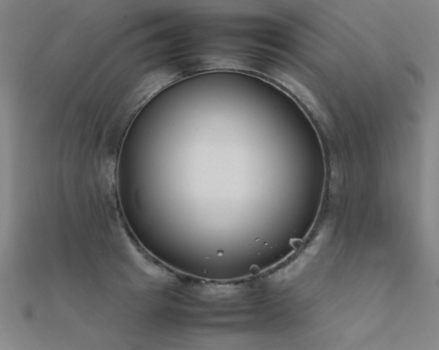 X0000112400849200908141337