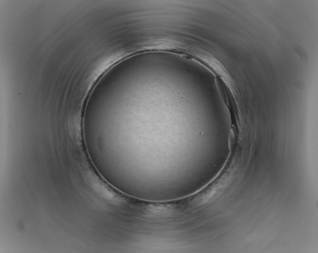 X0000112400850200908141338