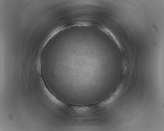 X0000112400851200908141338