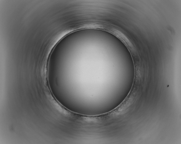 X0000112400852200908141338