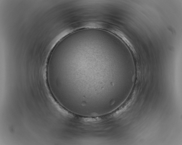 X0000112400853200908141338