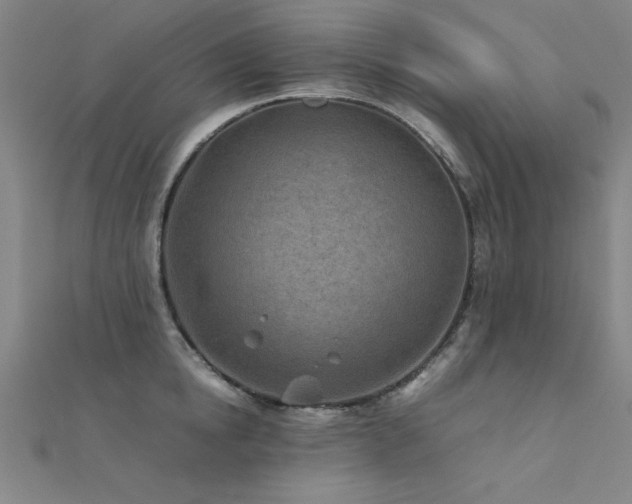 X0000112400854200908141338
