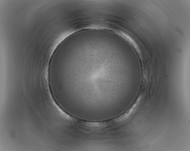 X0000112400855200908141338
