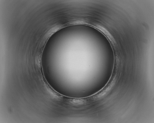 X0000112400857200908141338