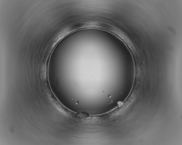X0000112400858200908141338
