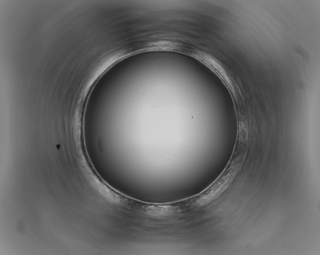 X0000112400859200908141338