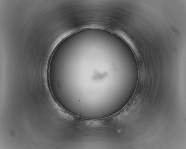 X0000112400861200908141338