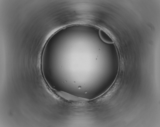 X0000112400862200908141338
