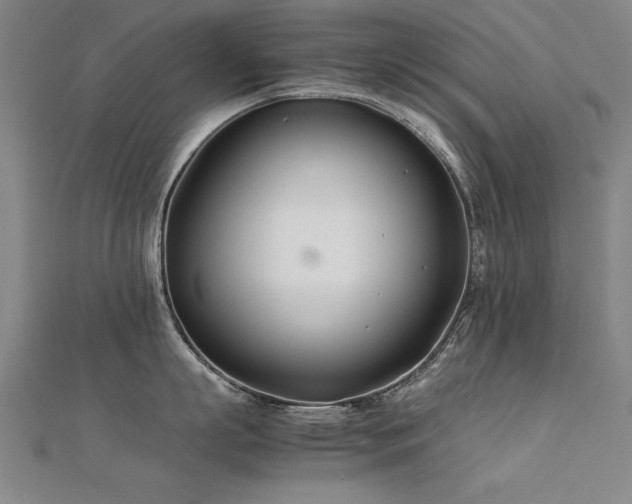 X0000112400863200908141338