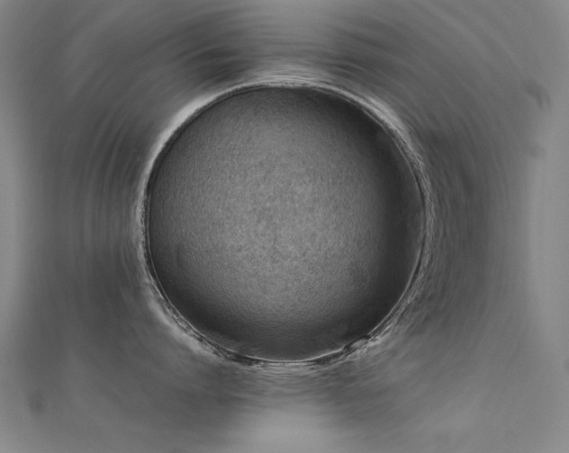 X0000112400864200908141338