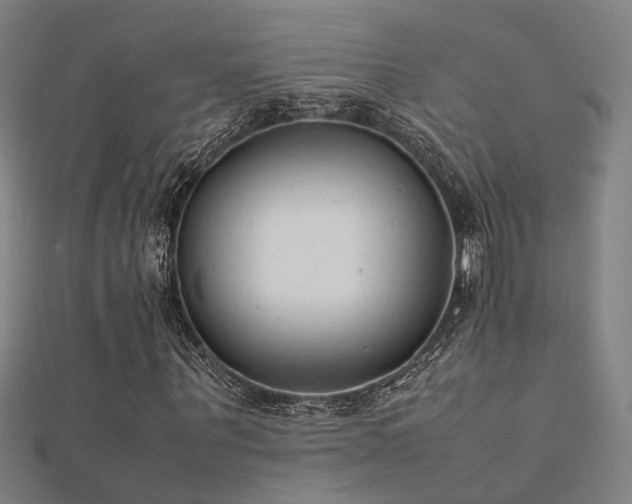 X0000112400867200908141337
