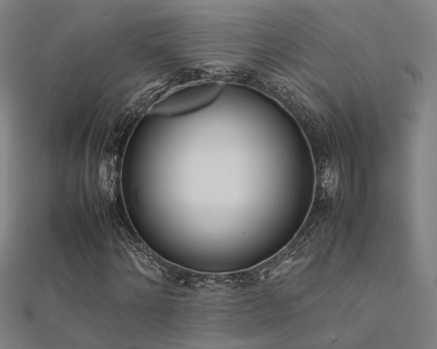 X0000112400868200908141337