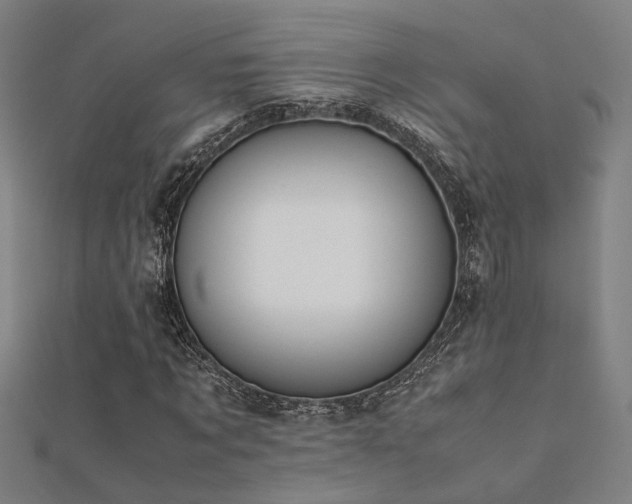 X0000112400869200908141337