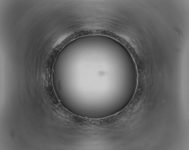 X0000112400871200908141337