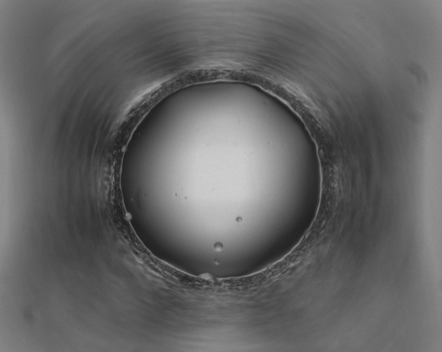 X0000112400872200908141337