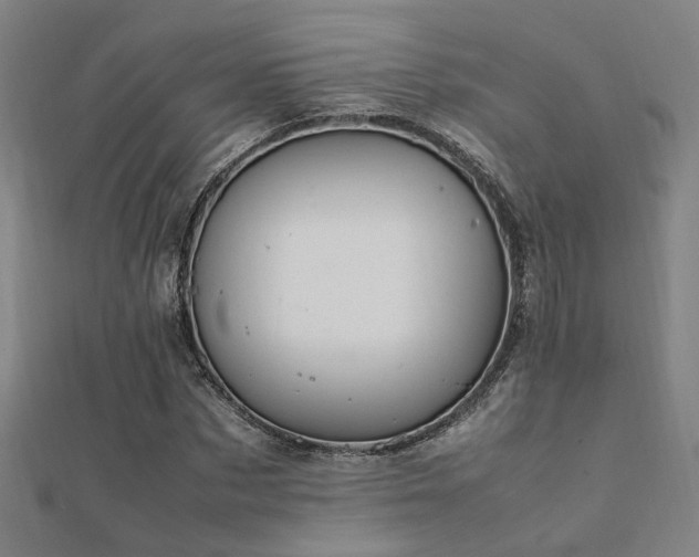 X0000112400873200908141337