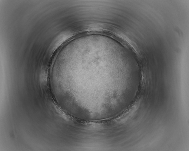 X0000112400874200908141337